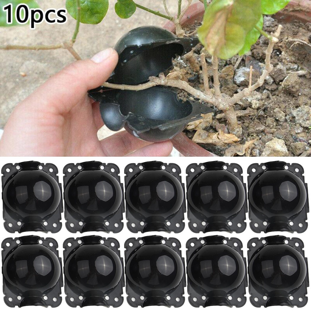 50Pcs Black Reusable Plant Root Grow Grafting Layer Pod Ball High Pressure Boxes 