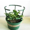 Plastic Plant Support Pile Stand for Flowers Greenhouse 3