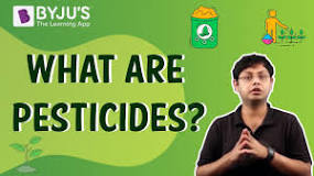 What are the 4 types of pesticides?
