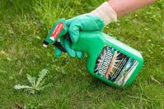 Can Roundup be absorbed through skin?