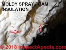 Can mold grow behind spray foam insulation?