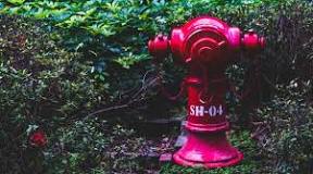 Can you attach a garden hose to a fire hydrant?