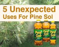 Do flies hate Pine Sol?