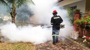 Do foggers work for Mosquito control?