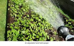 Does hand watering save water?