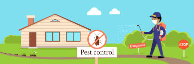 How can I make pest control at home?