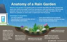 How do I get rid of standing water in my yard?