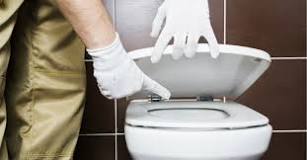 How do plumbers unclog a toilet?