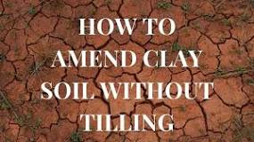 How do you break up clay soil without tilling?