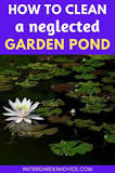 How do you clean a neglected pond?