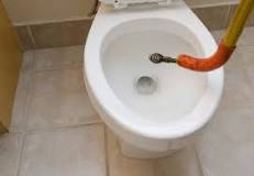 How do you clean a snake after a toilet?