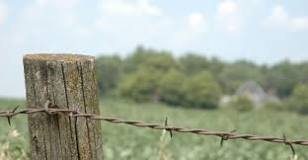 How do you drive fence posts in rocky ground?