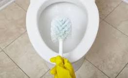 How do you fix a clogged toilet without a plunger?