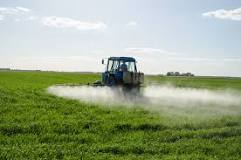 How do you get rid of glyphosate in the body?