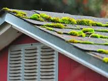 How do you spray moss killer on a roof?