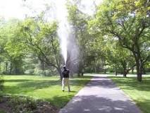 How do you spray tall trees?