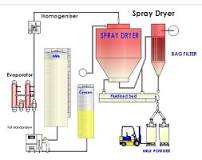 How is spray dried milk powder made?