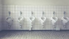 How often should a urinal flush?