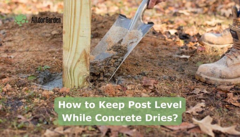 How do I keep my post level while concrete dries?