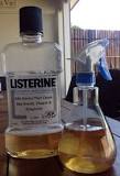 Is Listerine a good fly repellent?