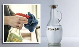 Is vinegar better than roundup?