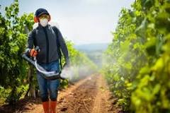 Should I wear a mask when spraying Roundup?