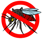 What animal kills mosquitoes?
