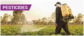 What are the 3 main pesticides?