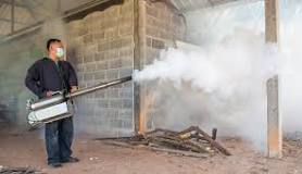 What are the different types of fogging machine?