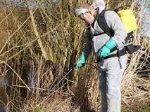 What are the uses of knapsack sprayer?