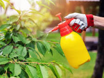 What can I use a chemical sprayer for?