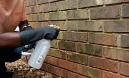 What do you spray on brick before pressure washing?