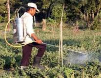 What equipment is used to spray pesticides?
