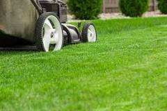 What happens to your lawn if you don