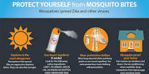 What is the best method for mosquito control?