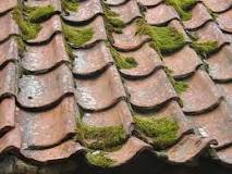 How can I make my roof look new again?