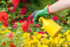 What is the best time to spray pesticides?