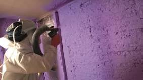 What is the purple spray foam insulation?