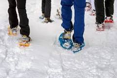 What kind of pants do you wear snowshoeing?