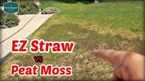 What should you cover grass seed with?