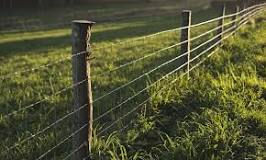 What size t post do I need for a 4 ft fence?
