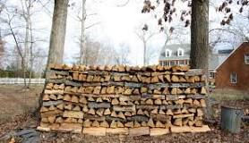 What tree makes the best firewood?