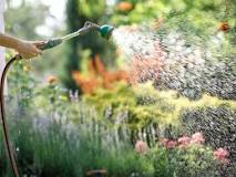 Which hose setting is best for watering plants?