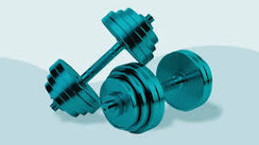 Which type of dumbbell is best?