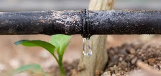 Which type of irrigation is most affordable?
