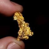 Can you find gold with a cheap metal detector?