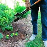 Can you use a post hole digger to plant trees?