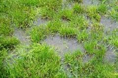 How do I get better drainage in my garden?