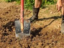How do you break down clay soil quickly?