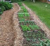 How do you fix compacted garden soil?